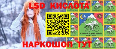 прущие крисы Славгород