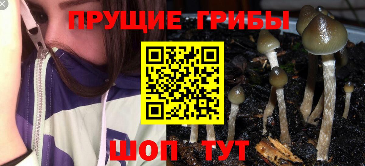 Новороссийск  Галлюциногенные грибы мицелий  Вход с VPN 